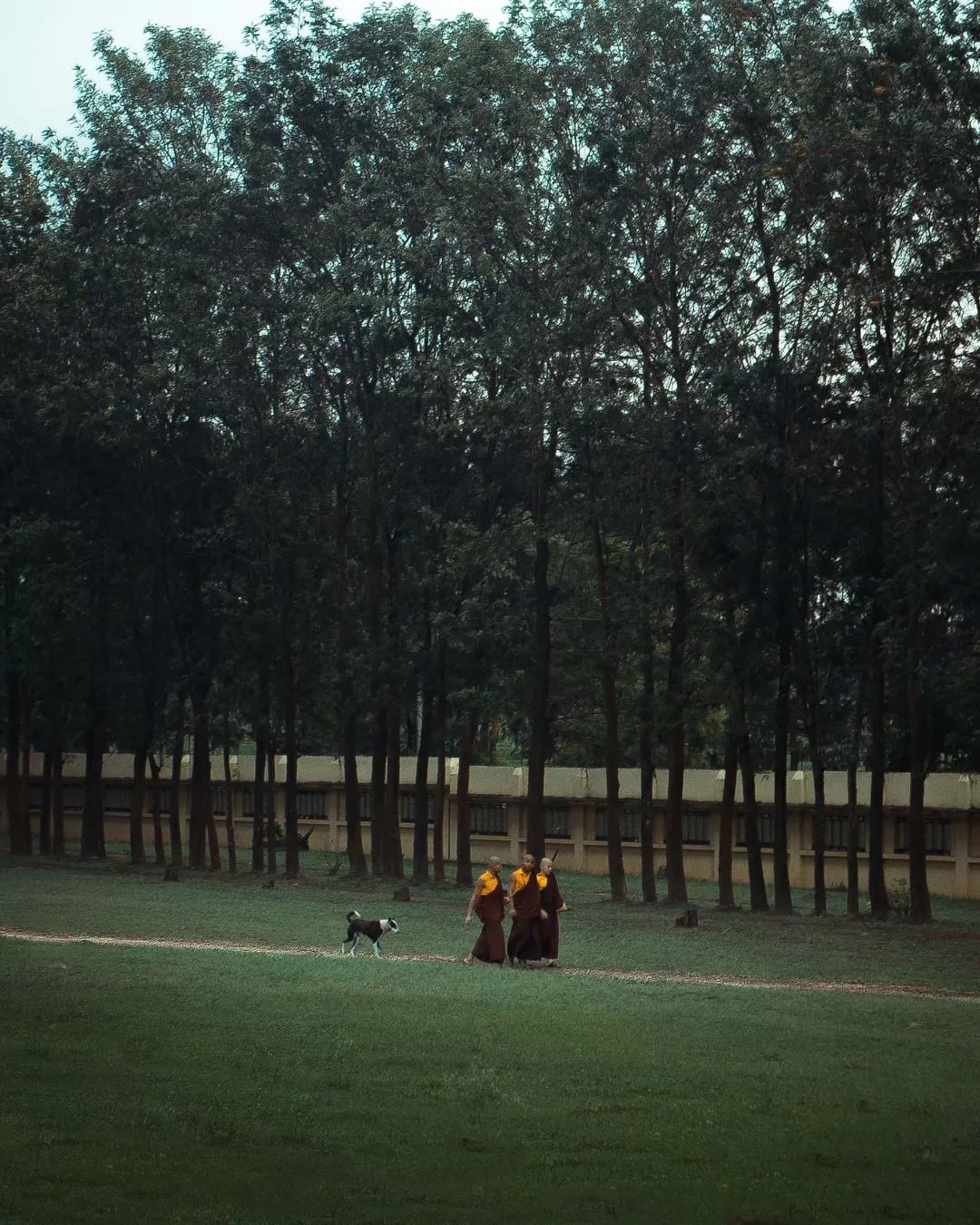 Photo of Namdroling Monastery Golden Temple By Saahil Rahman