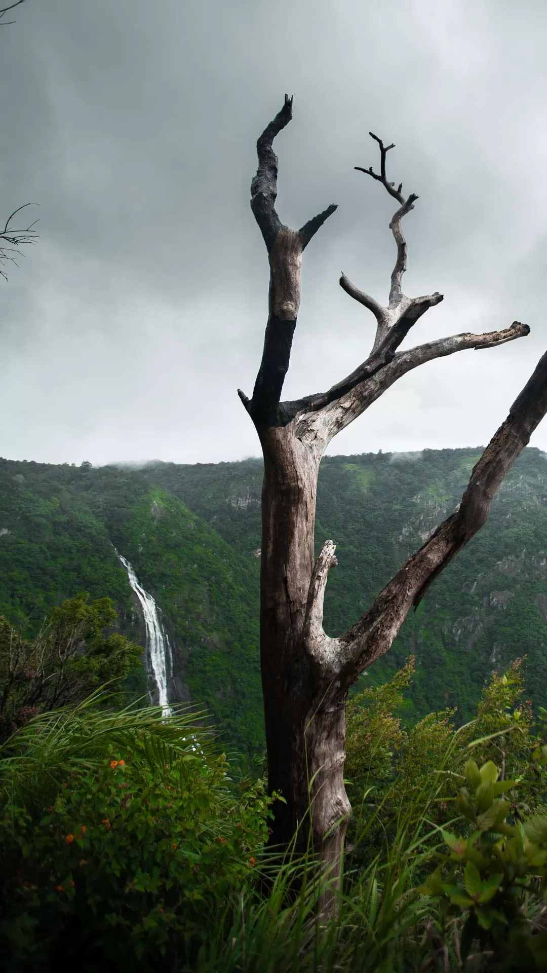 Photo of Nelliampathi By Saahil Rahman