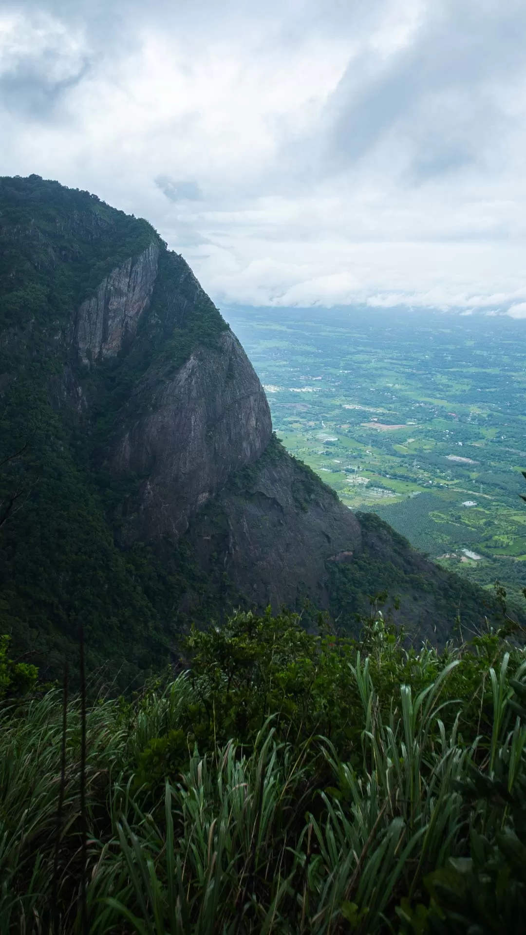 Photo of Nelliampathi By Saahil Rahman