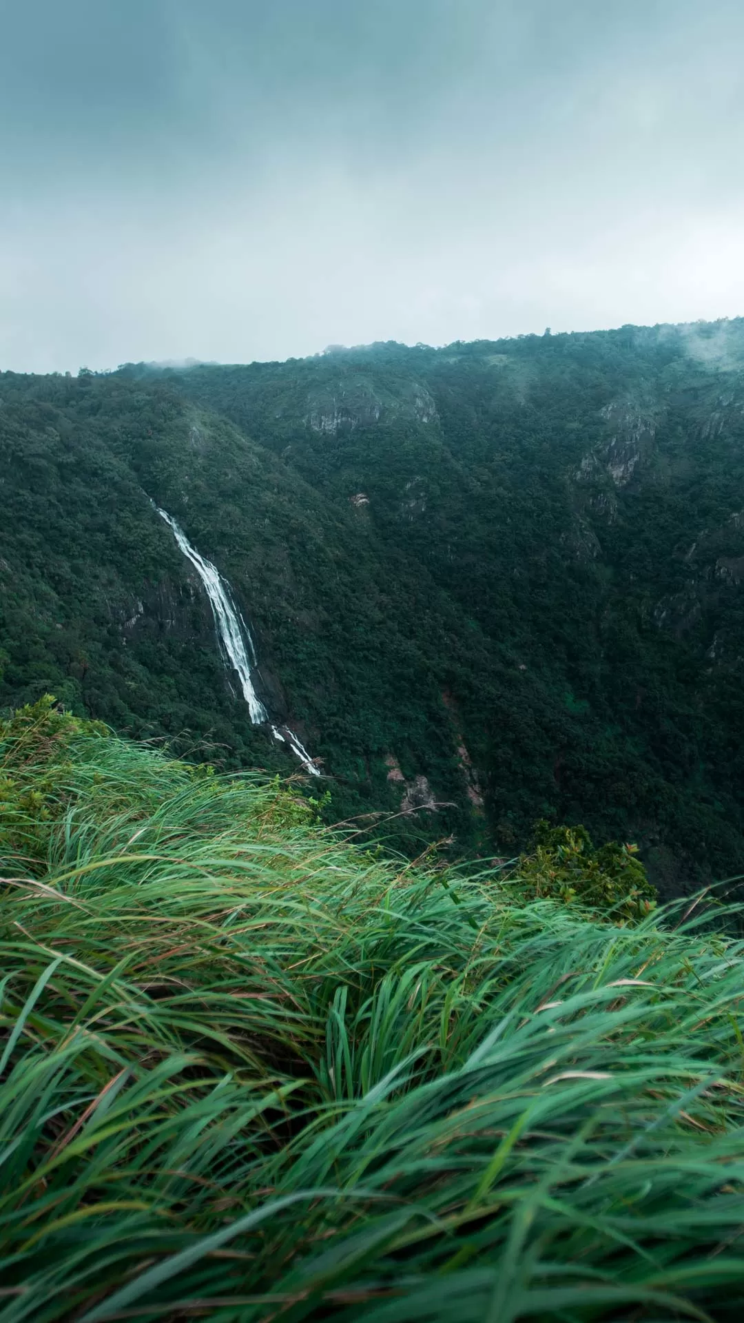 Photo of Nelliampathi By Saahil Rahman