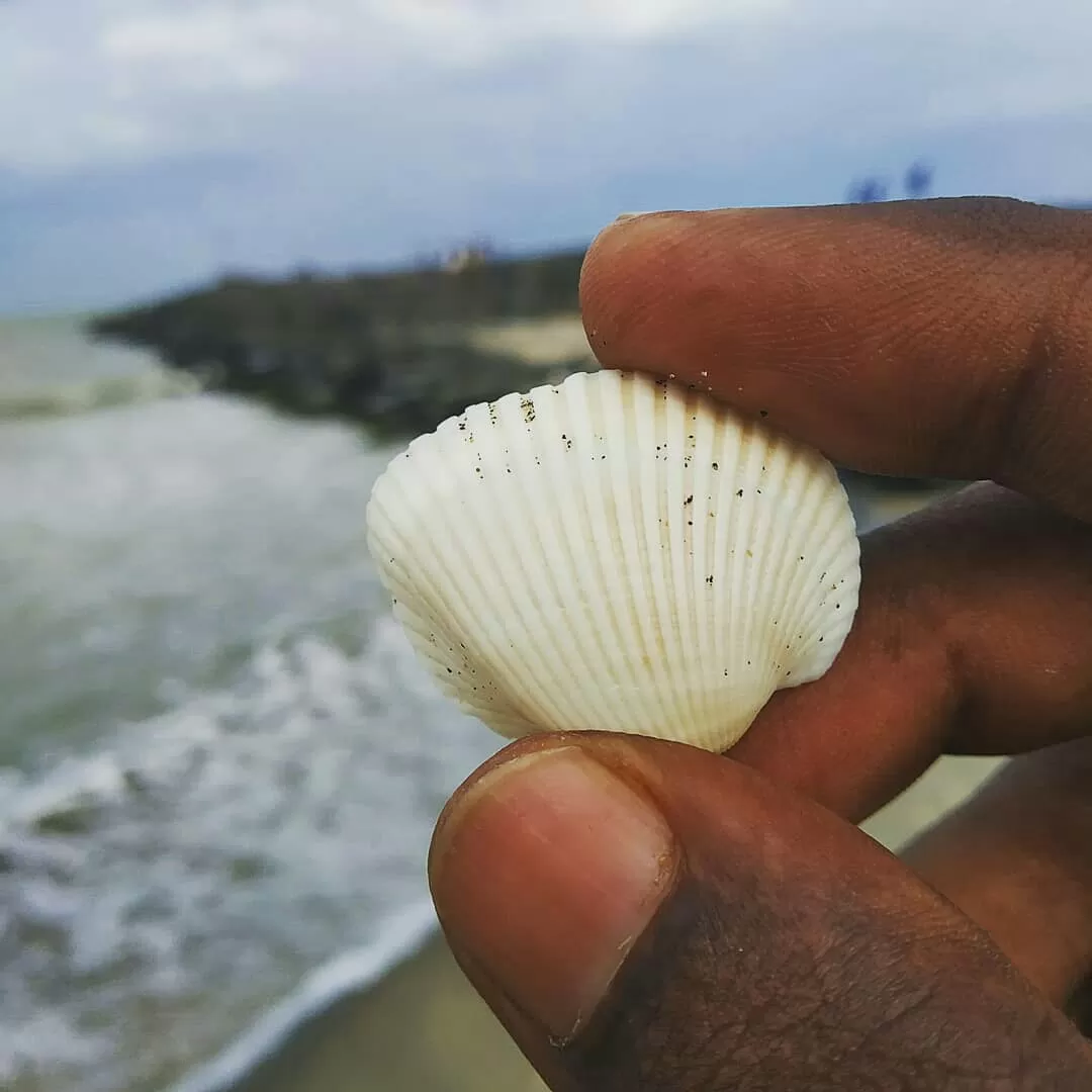 Photo of Karaikal By Naveen Balaji