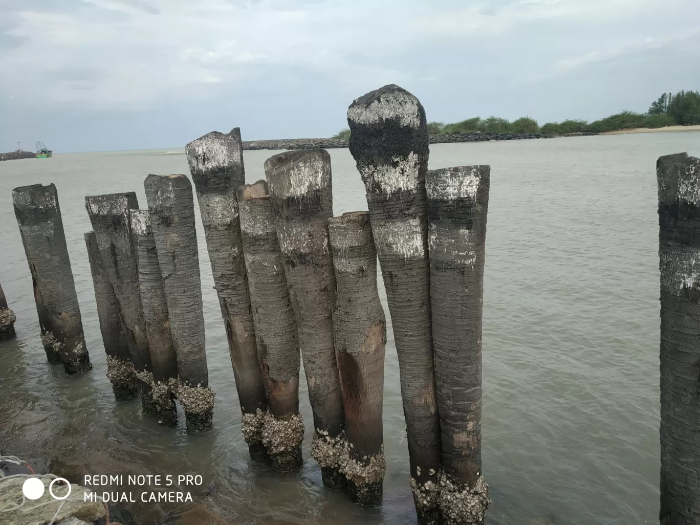 Photo of Karaikal By Naveen Balaji