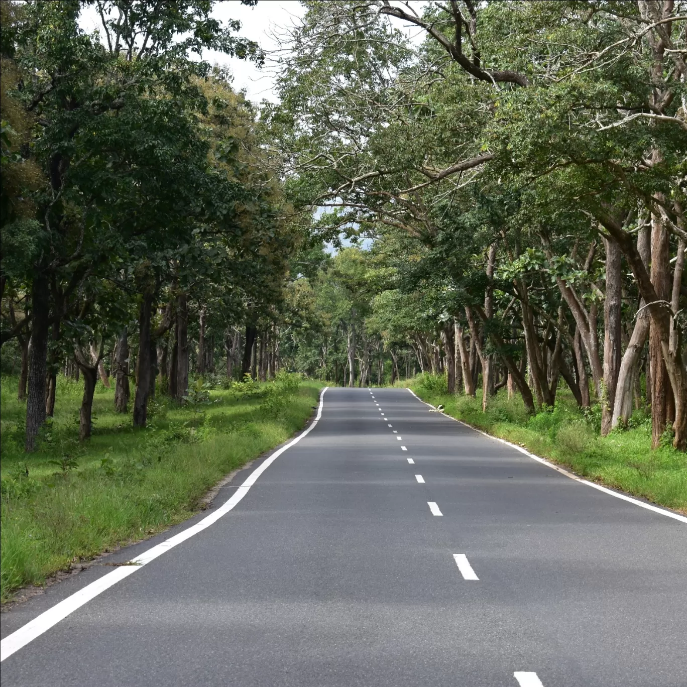 Photo of Karnataka By Sunny Kunche