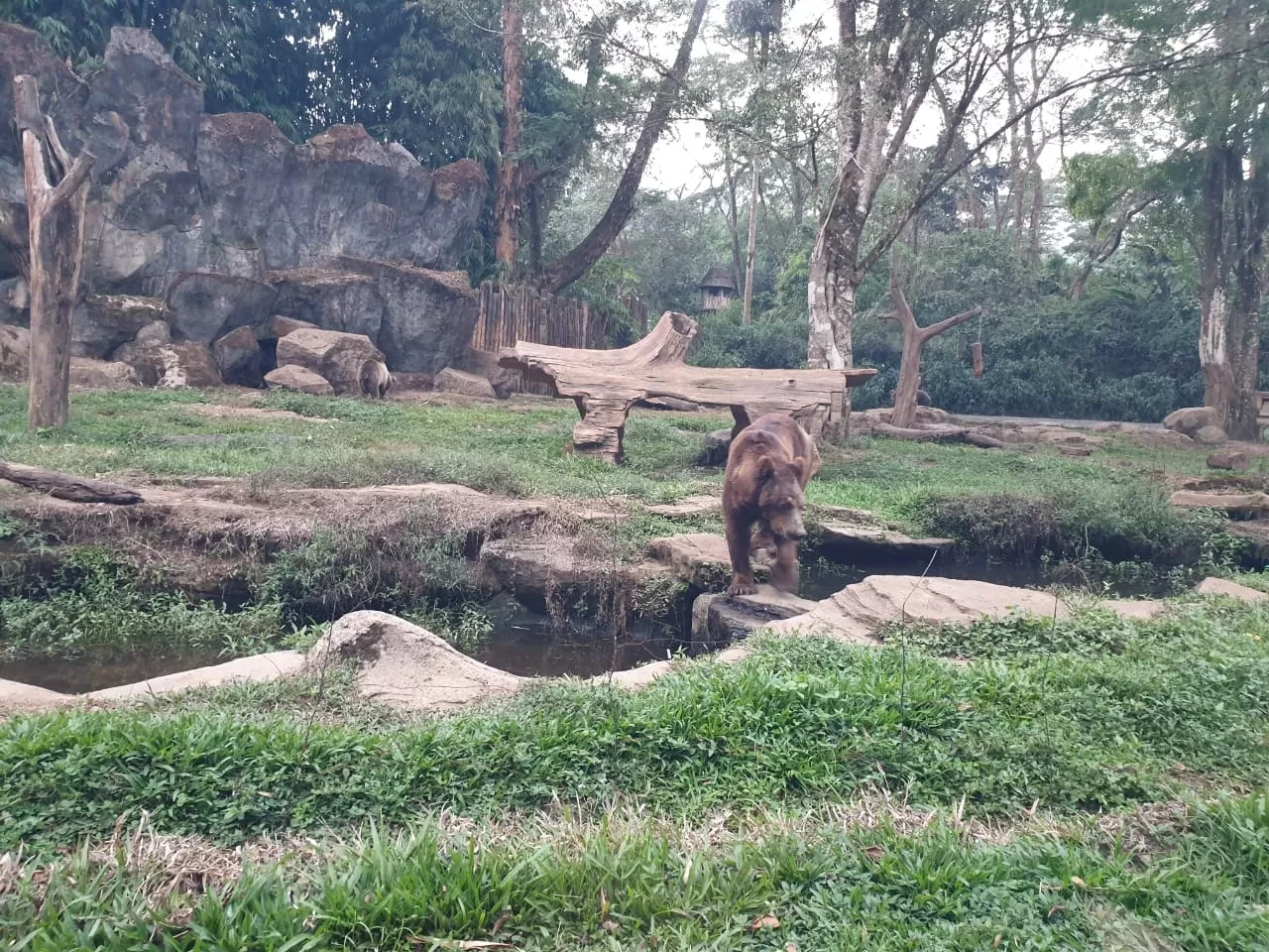 Photo of Taman Safari By Faizan 