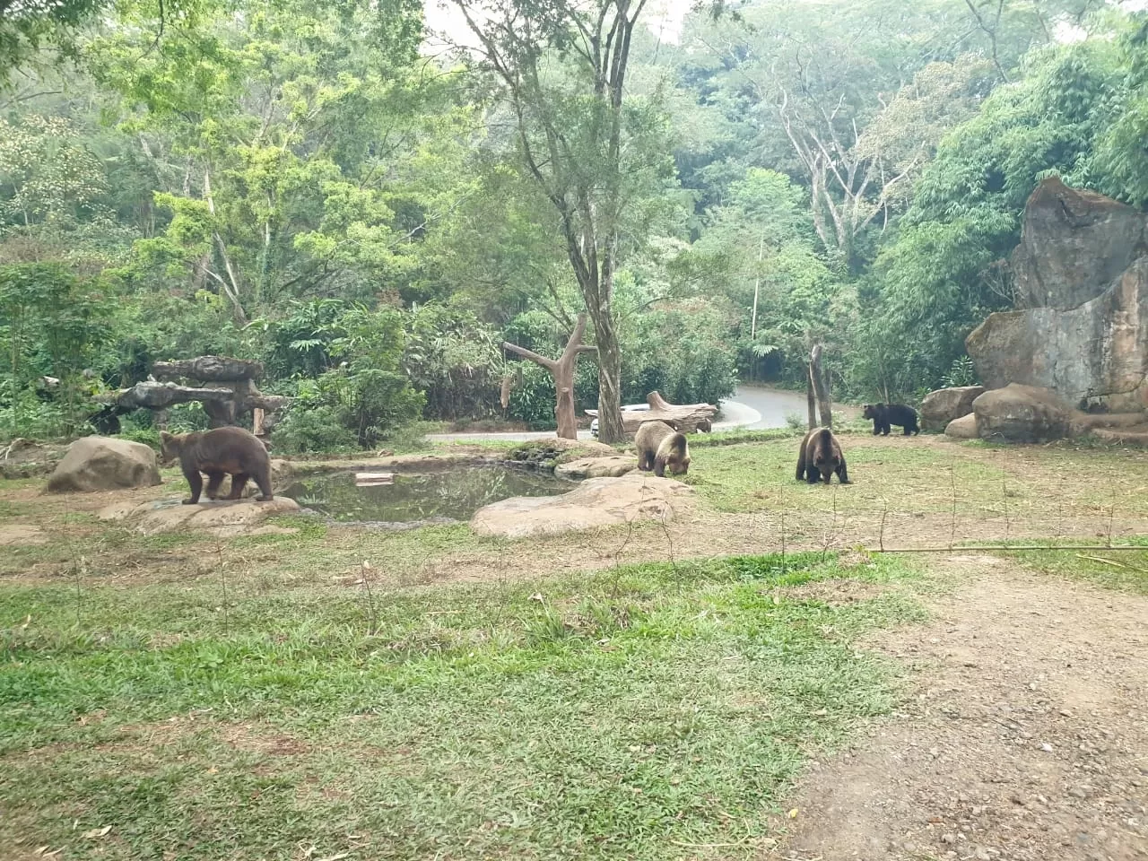 Photo of Taman Safari By Faizan 