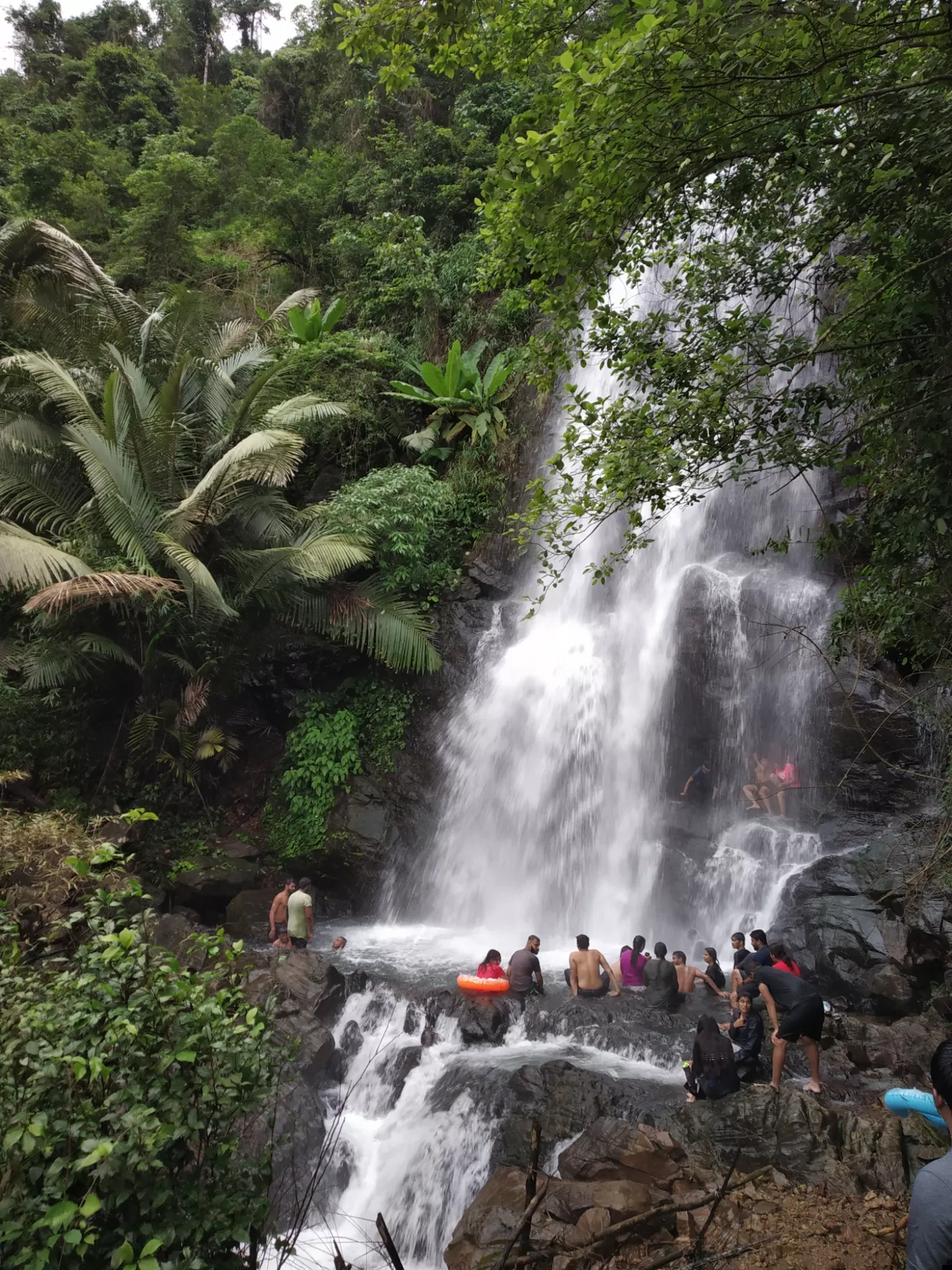 Photo of Kappimala Waterfalls By experiential kannur