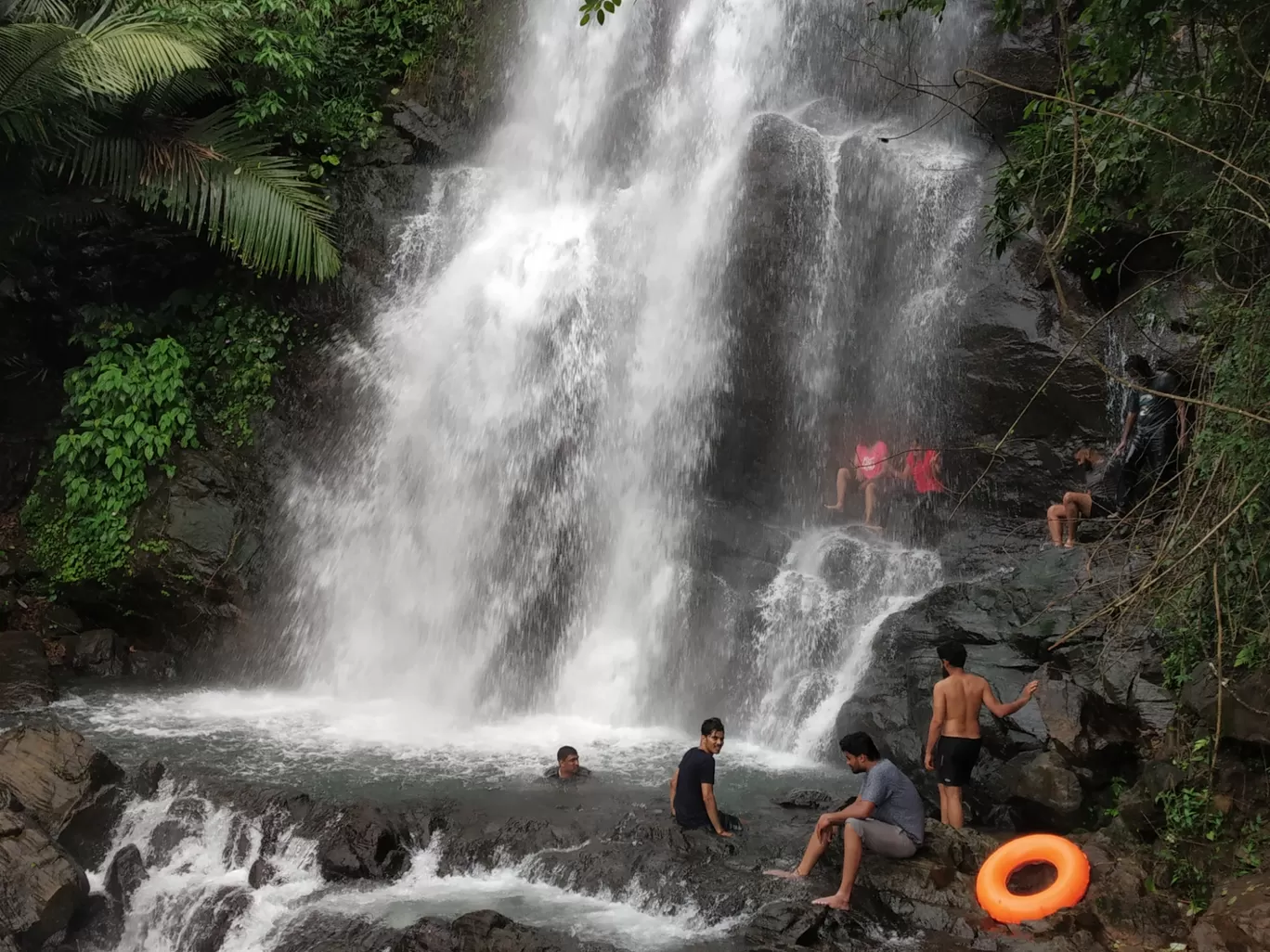 Photo of Kappimala Waterfalls By experiential kannur