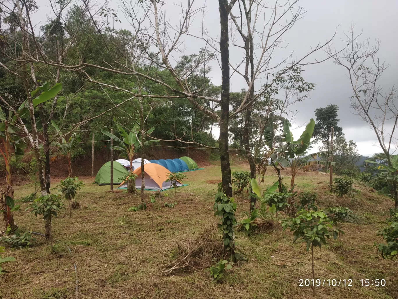 Photo of Paithal Base Camp By experiential kannur