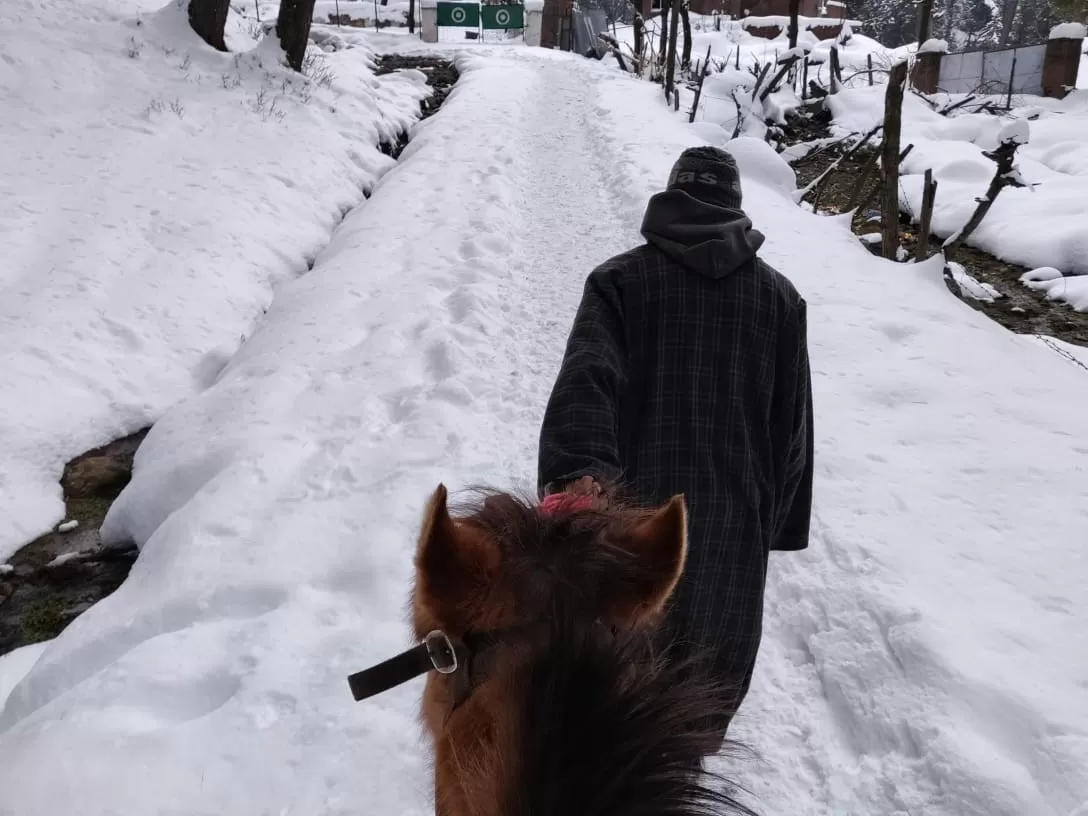 Photo of Gulmarg By Global Mount Club