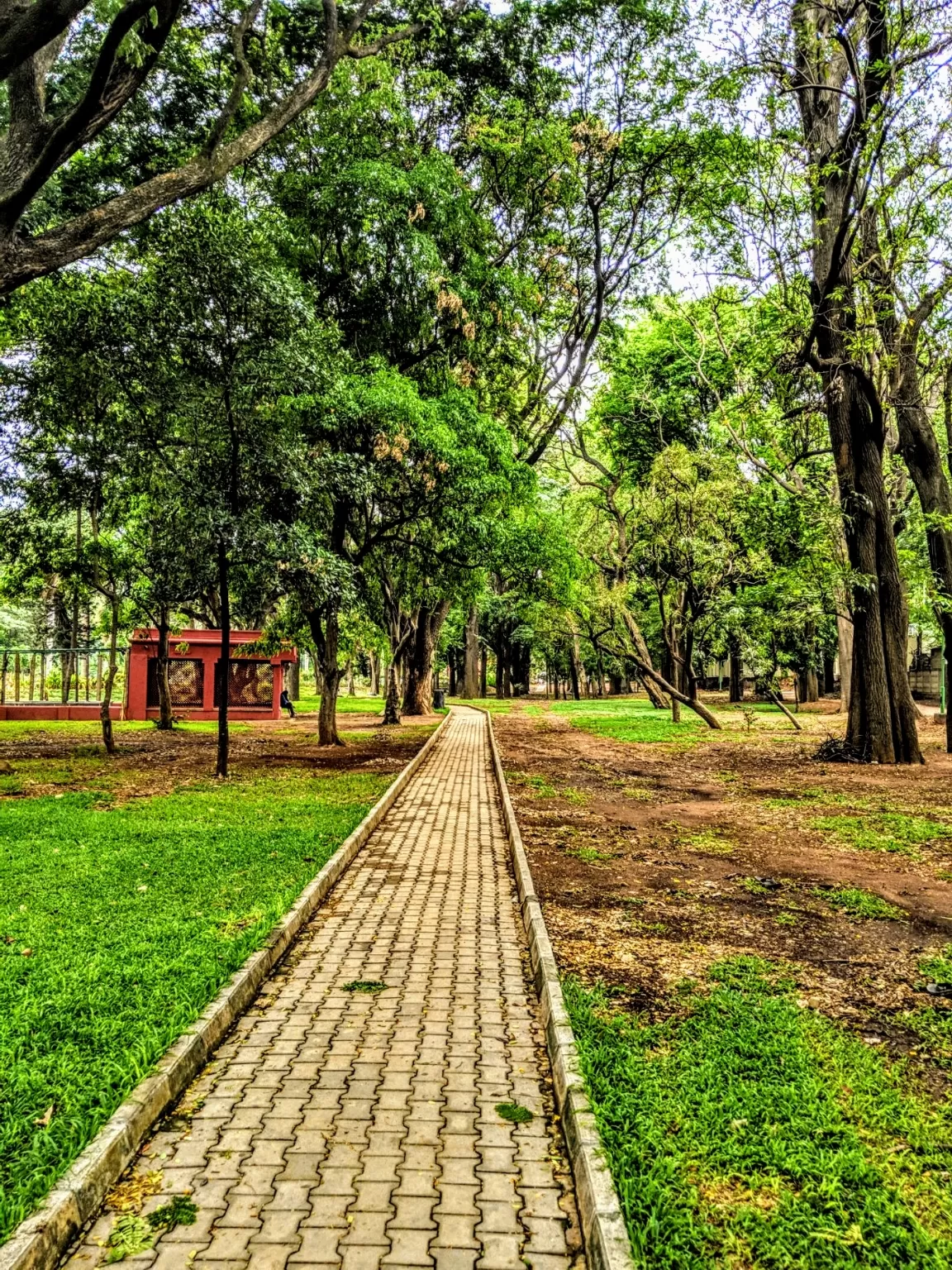 Photo of Cubbon Park By Vivek Shah