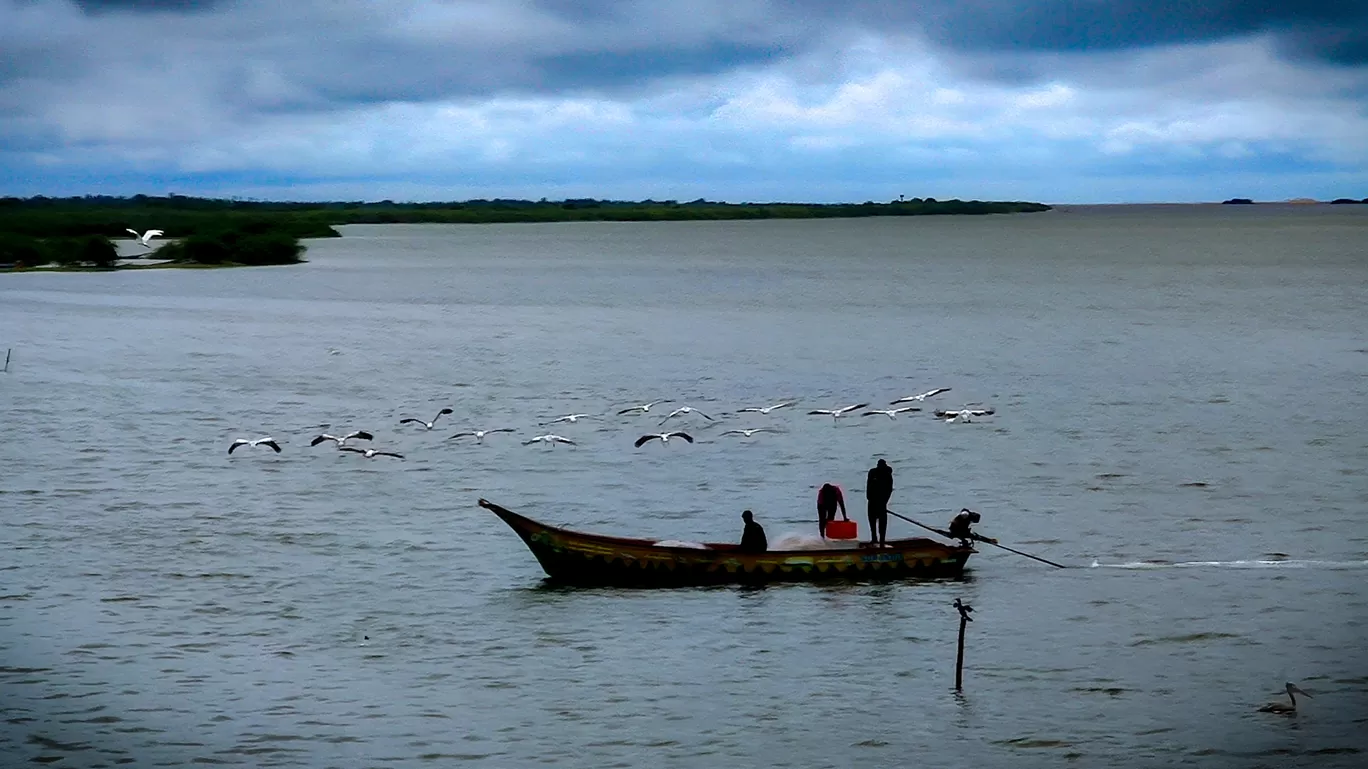 Photo of Pulicat Lake By Moses Koilraj