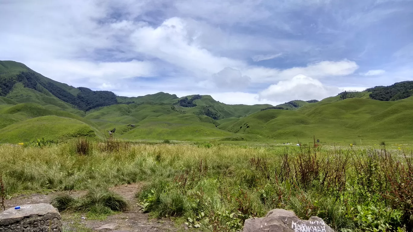 Photo of Dzükou Valley By Amarjyoti Borah