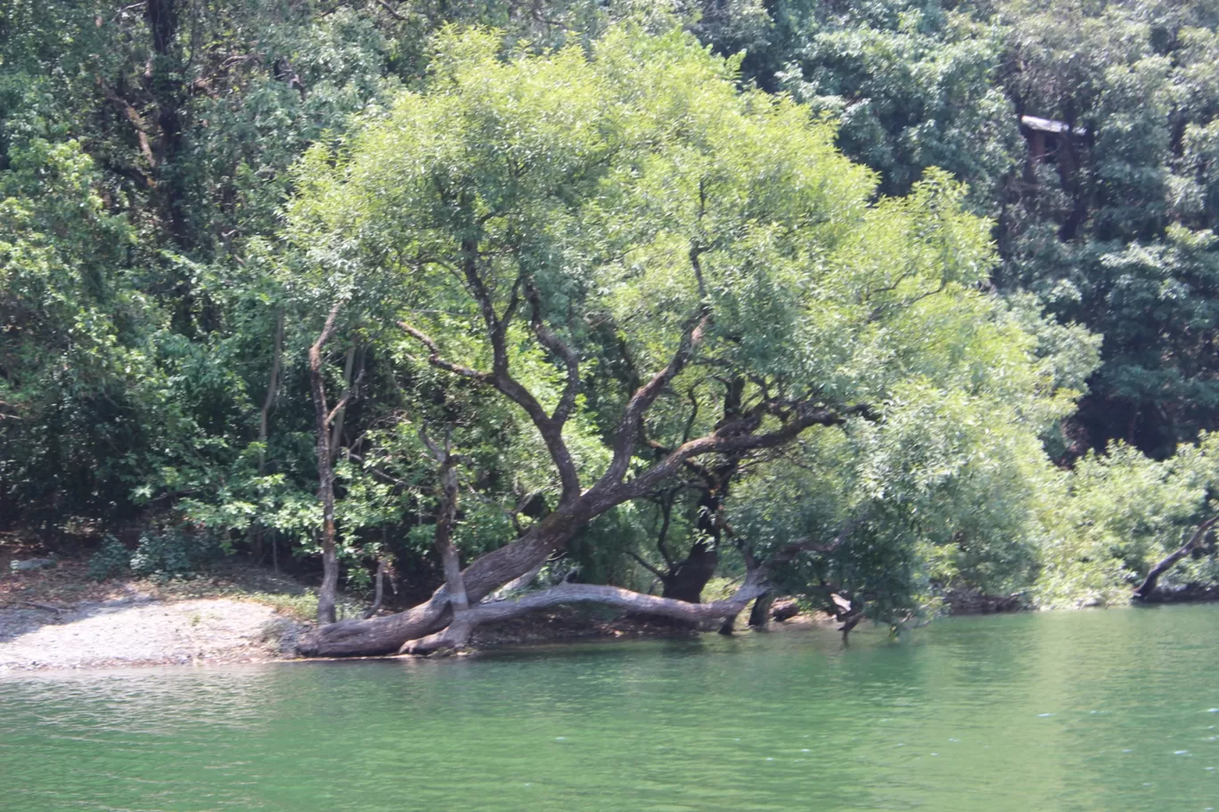 Photo of Nainital By Aman singh (foodierider)