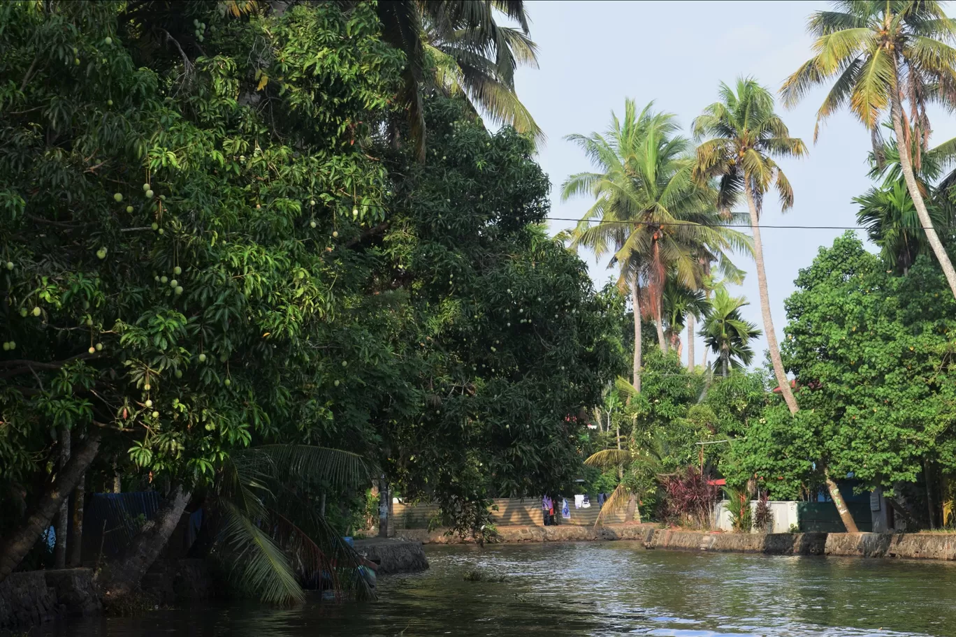 Photo of Alleppey By Gaurav Yadav