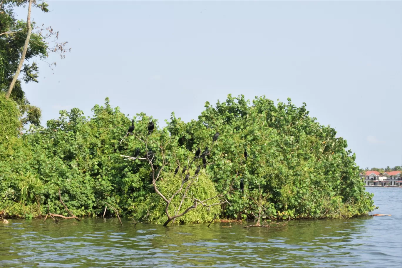 Photo of Alleppey By Gaurav Yadav