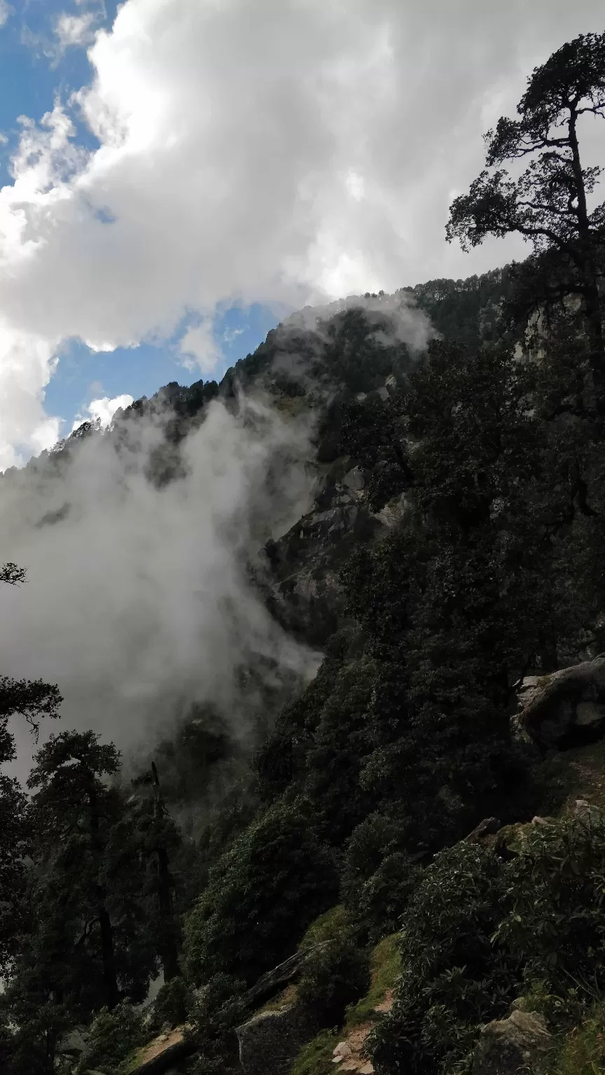 Photo of Triund Trek By Anuttara Pandit