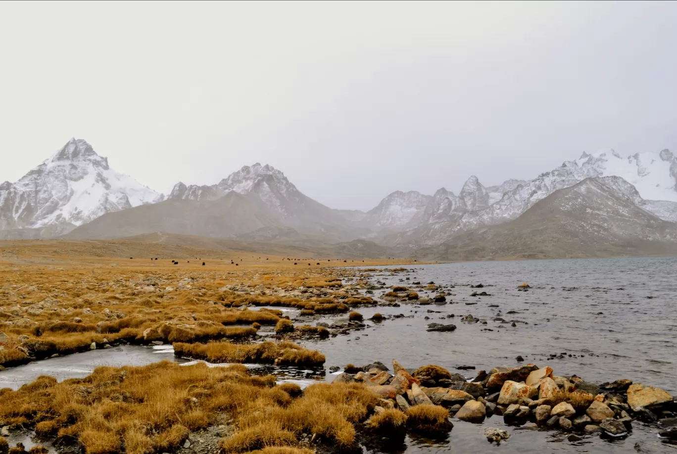 Photo of Tso Lhamo Lake By Nomad Soul : Suman Roy