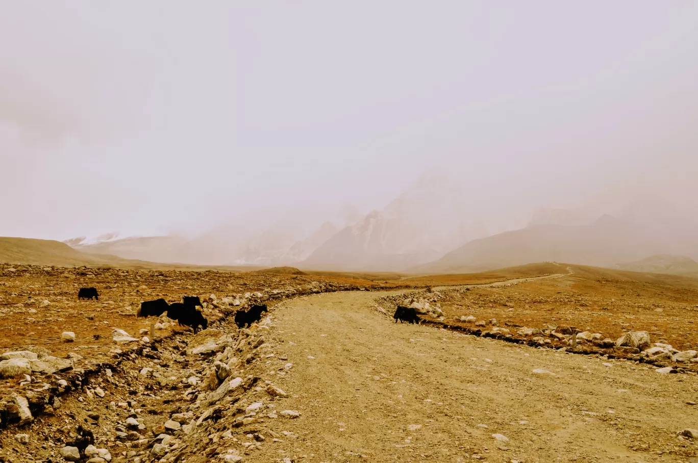 Photo of Tso Lhamo Lake By Nomad Soul : Suman Roy