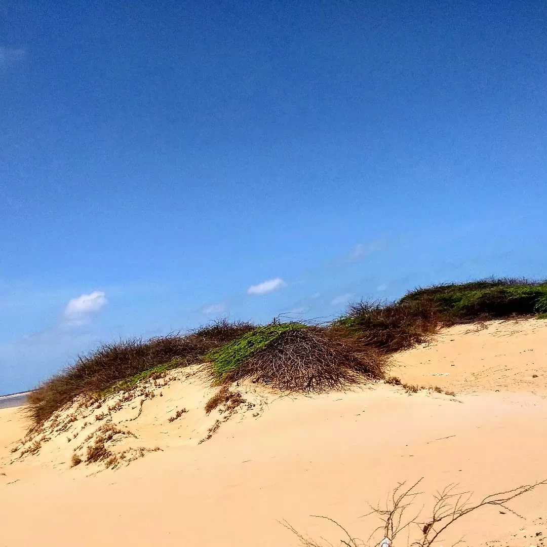 Photo of Dhanushkodi Beach By Tocy Thomas