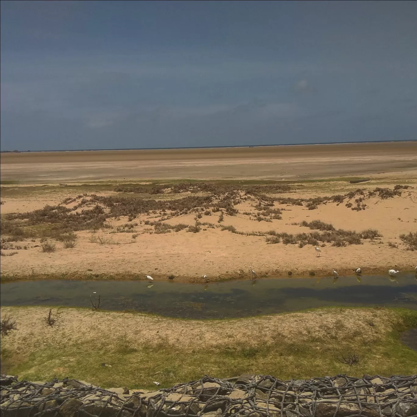 Photo of Dhanushkodi Beach By Tocy Thomas