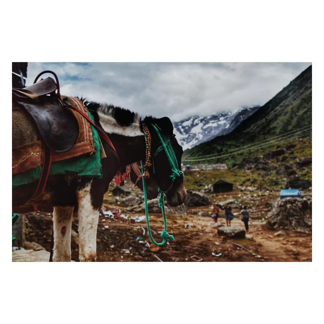 Photo of Kedarnath By Abhijeet Singh Visen