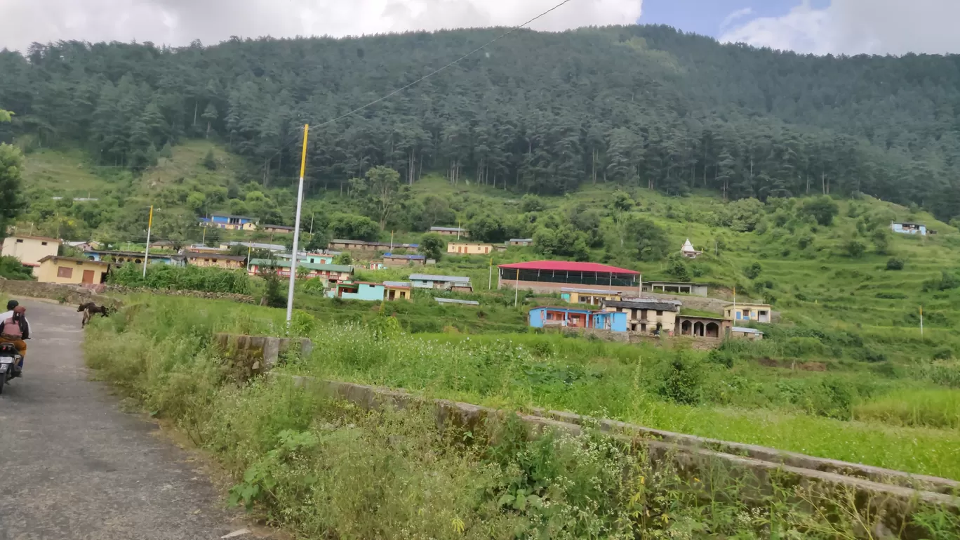 Photo of Devalsari Environment Protection Society By Rajesh Kandari
