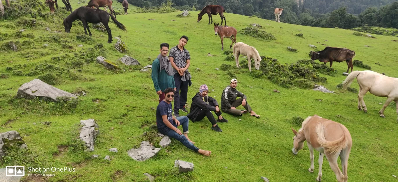Photo of Toli By Rajesh Kandari
