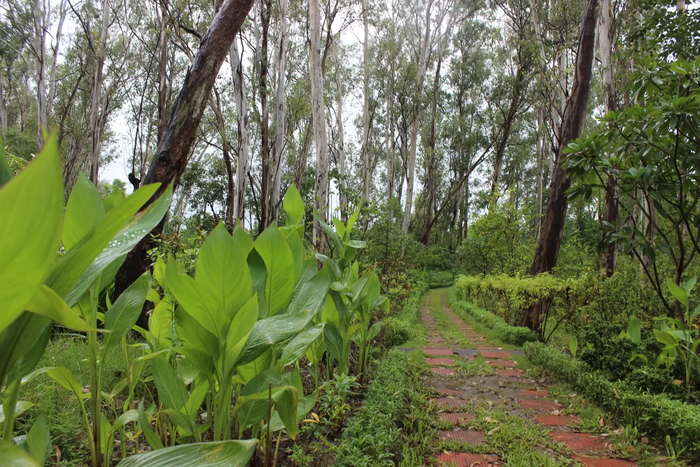 Photo of Silvassa By K Rahul