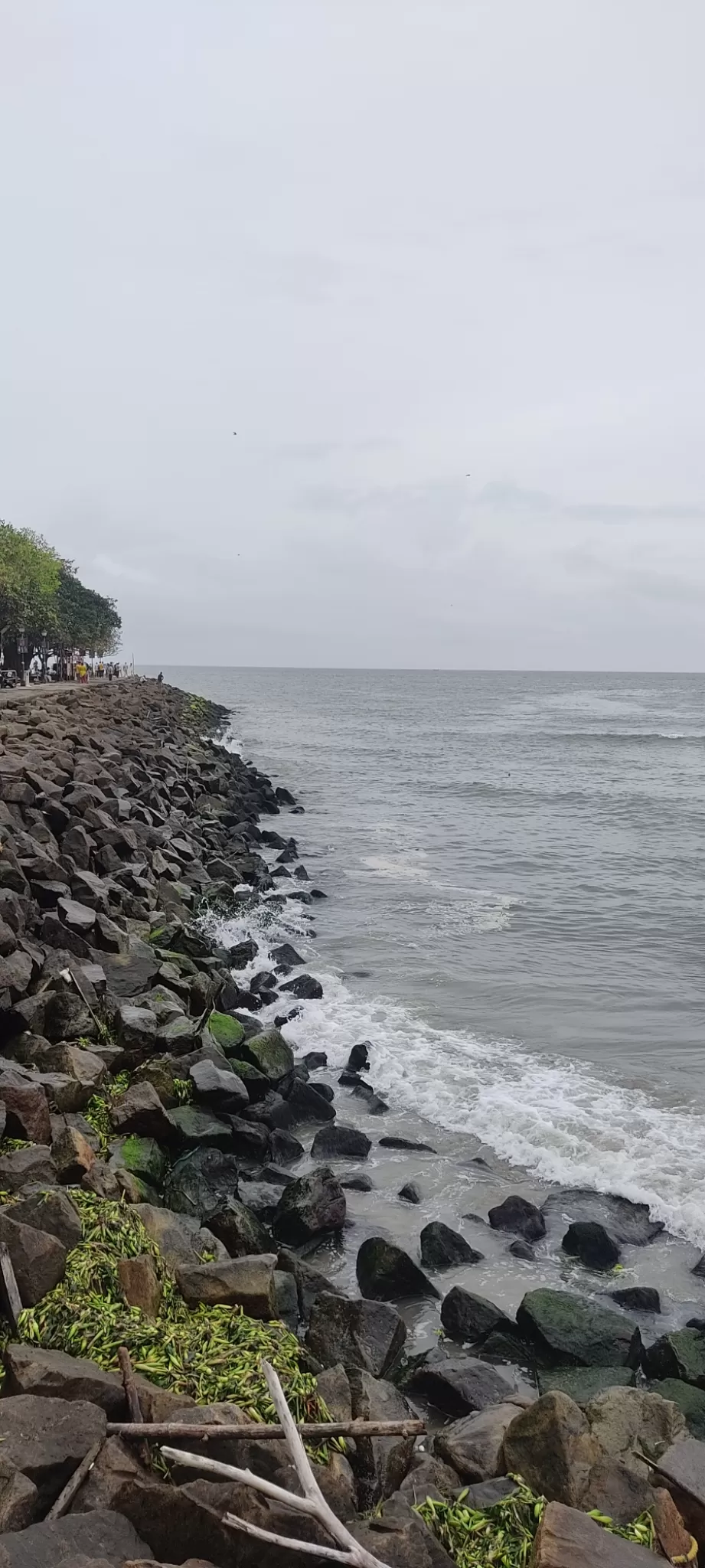 Photo of Fort Kochi Beach By Amlu Sasi