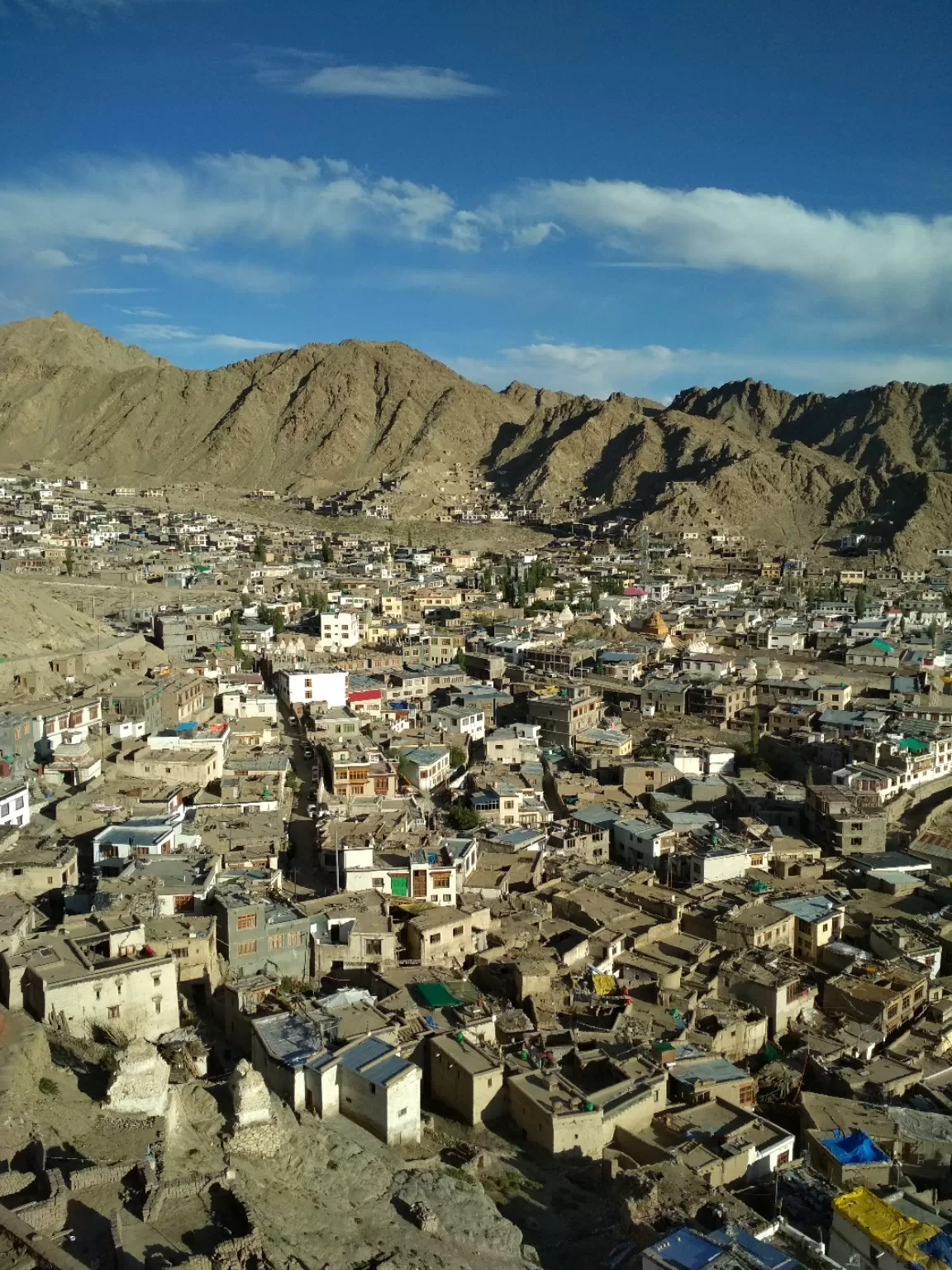 Photo of Leh Palace By Vikas Ahuja