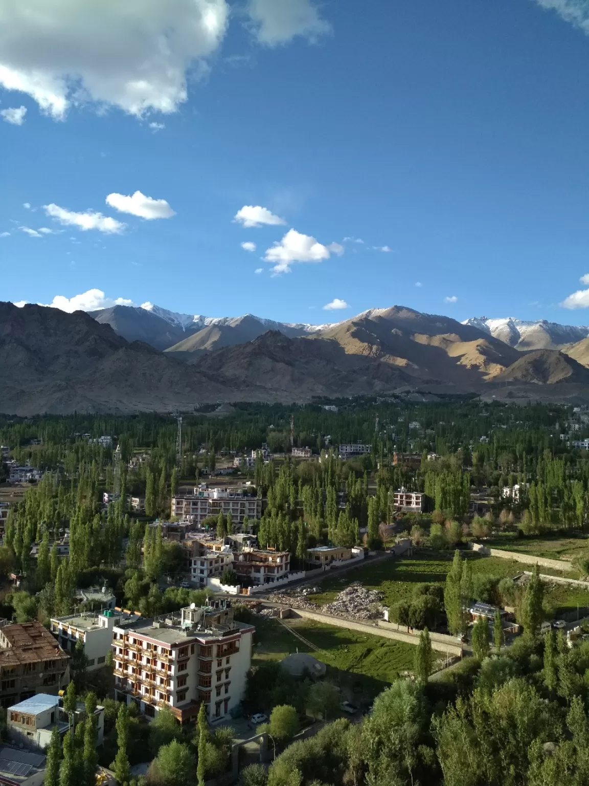 Photo of Leh Palace By Vikas Ahuja