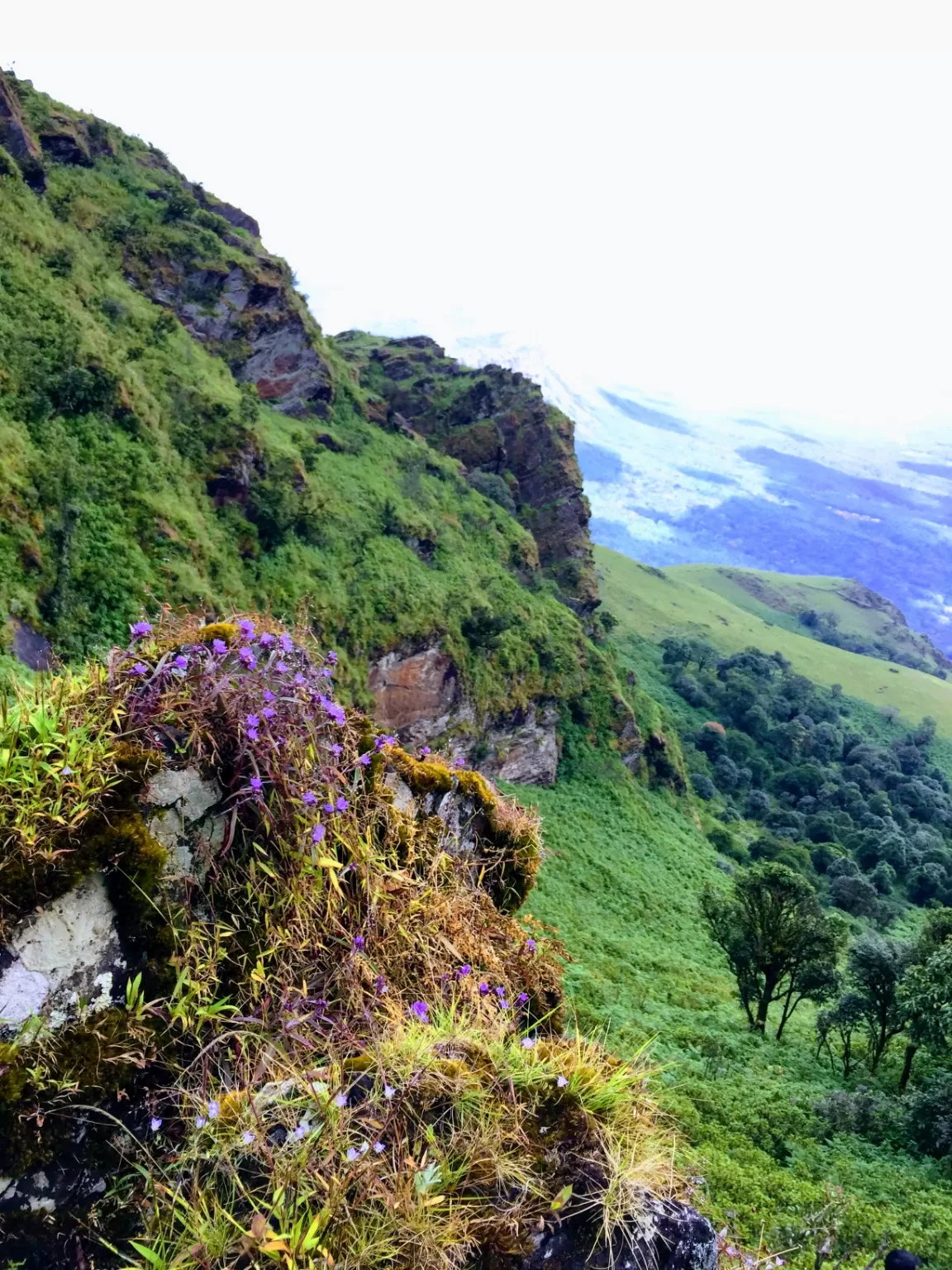 Photo of Chickmagaluru By S.KRISHNA Kumar