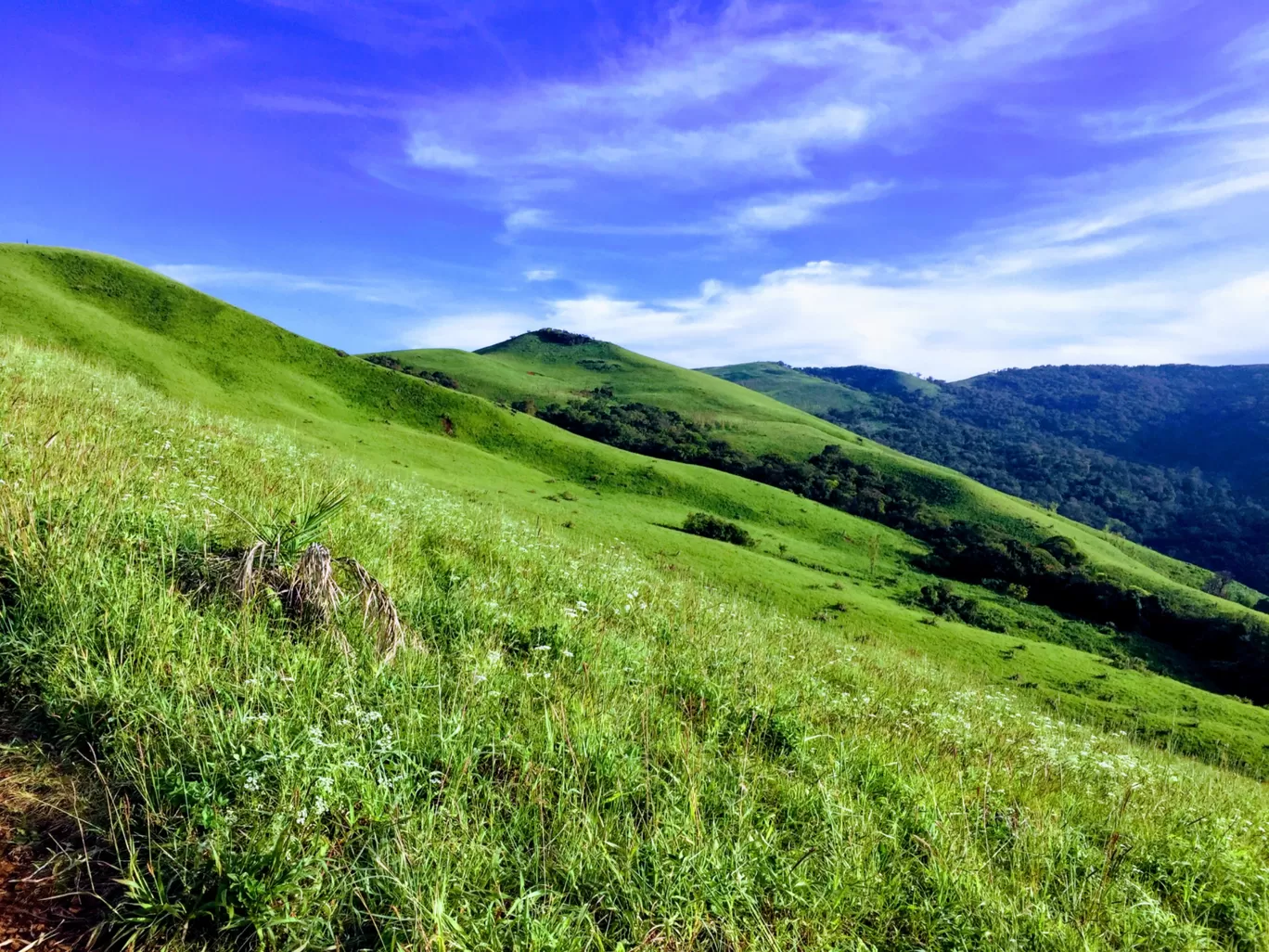 Photo of Chickmagaluru By S.KRISHNA Kumar