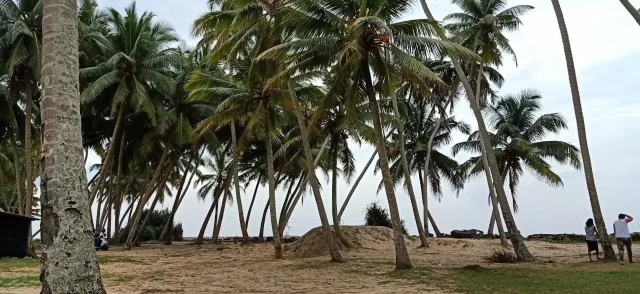 Photo of Sri Lanka By ab