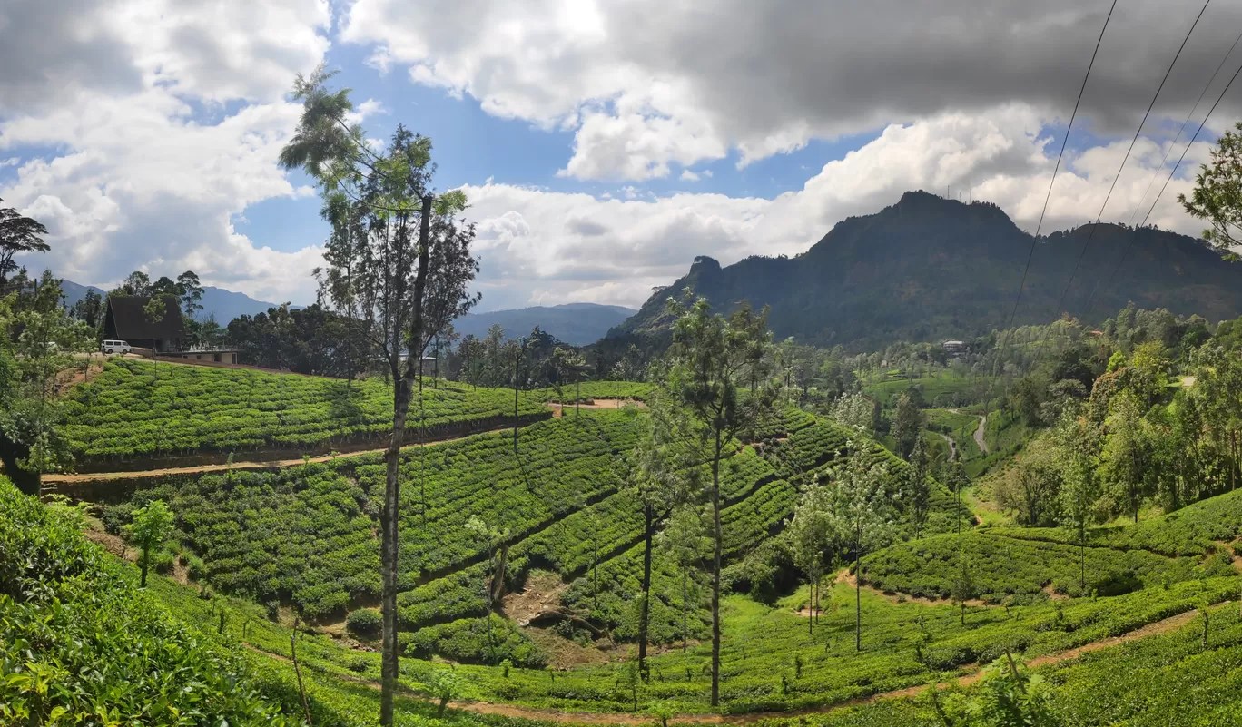 Photo of Sri Lanka By ab