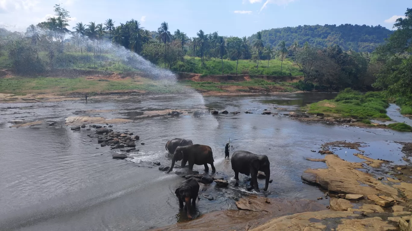 Photo of Sri Lanka By ab