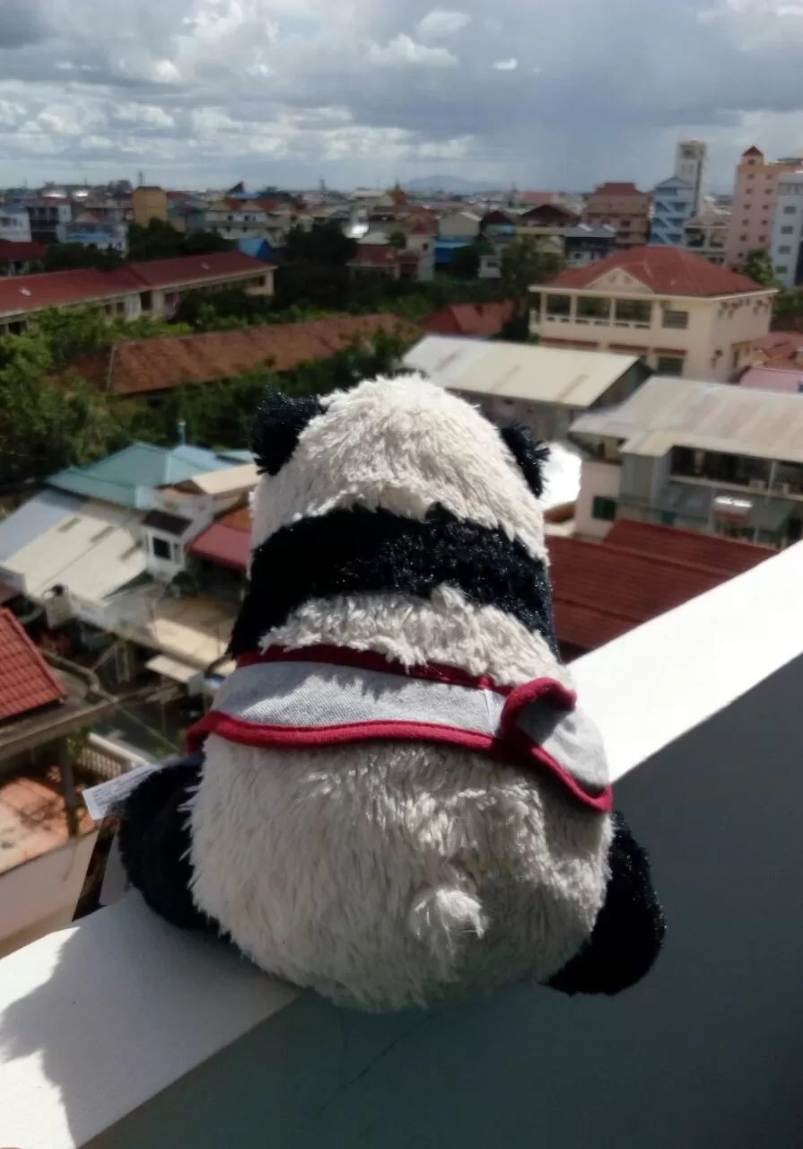 Photo of Cambodia By Window Seat Panda