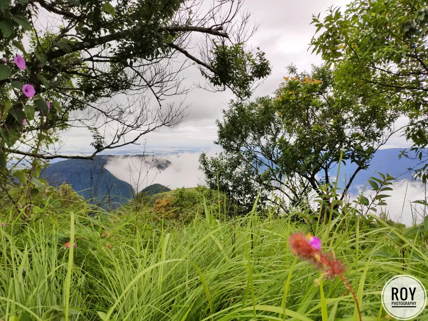 Photo of Meghalaya By Baishayan Roy