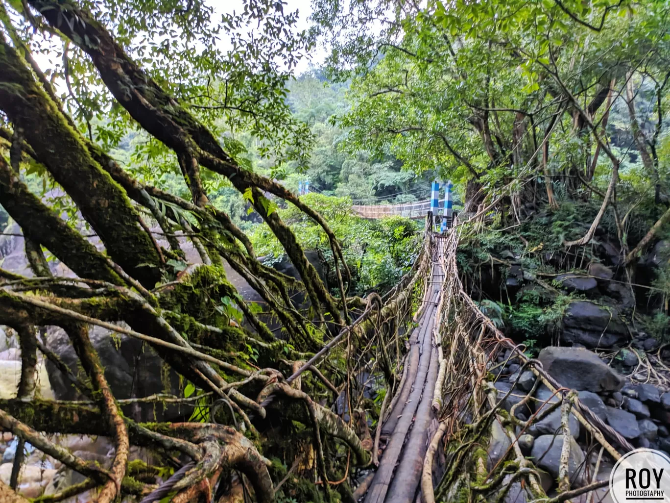 Photo of Meghalaya By Baishayan Roy
