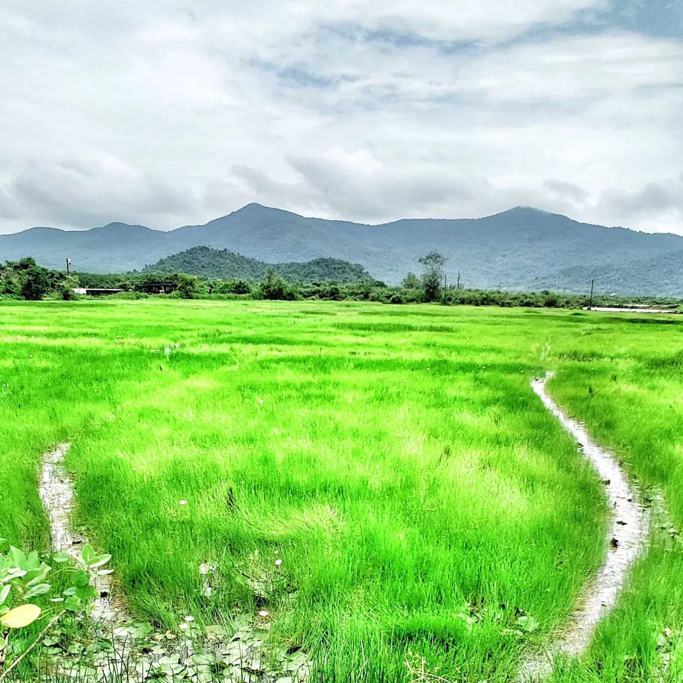 Photo of NH 66 By Navin Naik