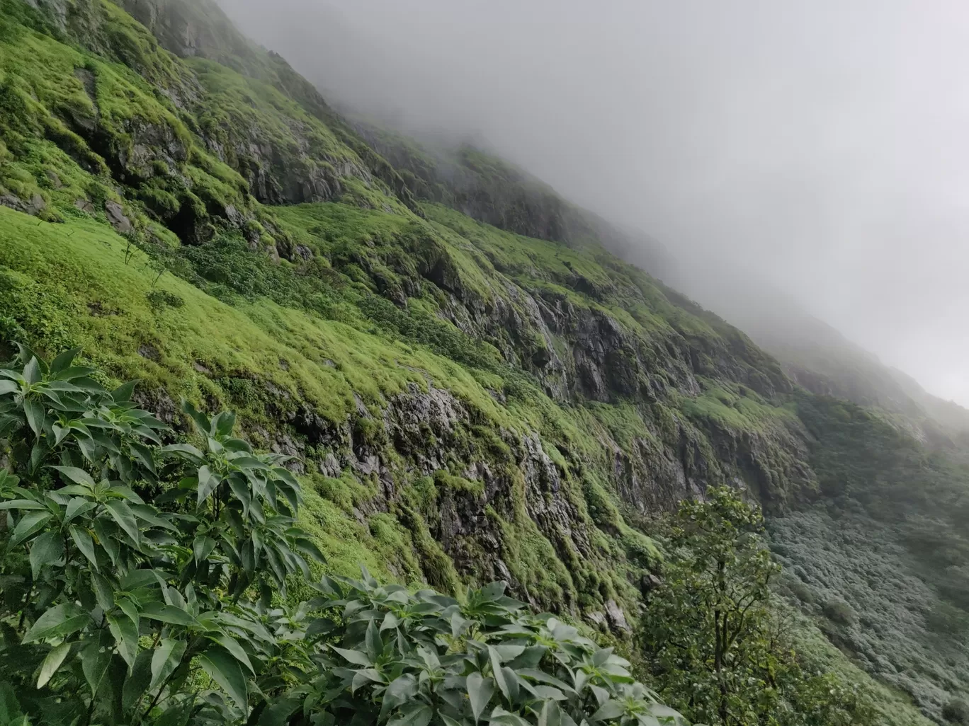 Photo of Torna Fort By Chetan Kadam