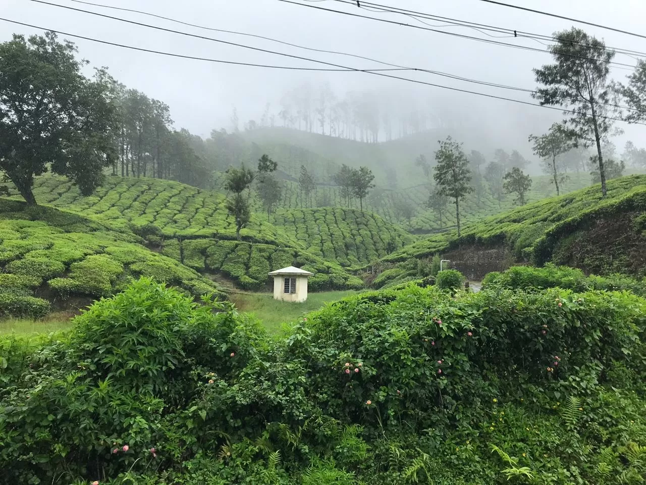 Photo of Munnar By Sanjay Kumar