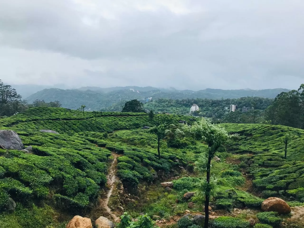 Photo of Munnar By Sanjay Kumar