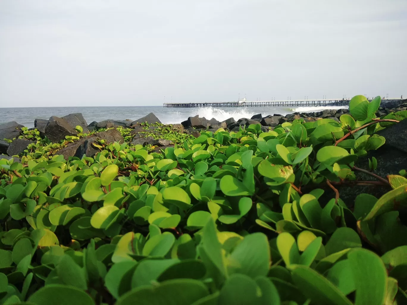 Photo of Pondicherry By Prajwal Ravi