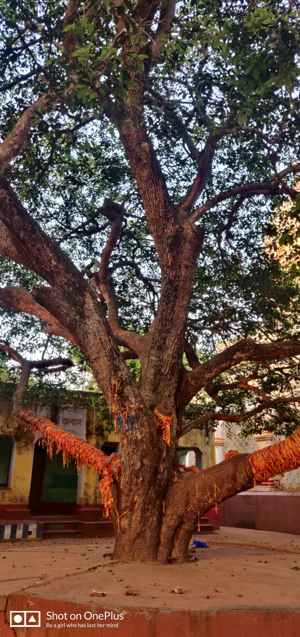 Photo of Jhargram By Paramita Sarker