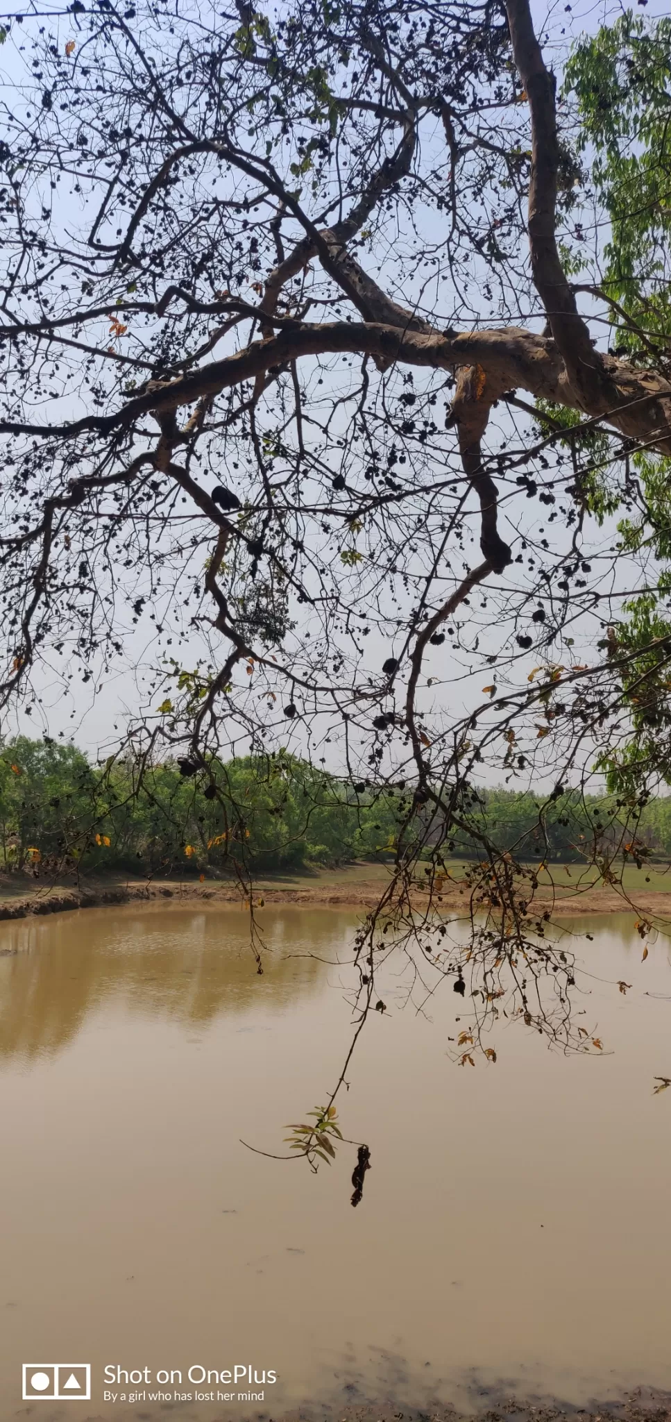 Photo of Jhargram By Paramita Sarker