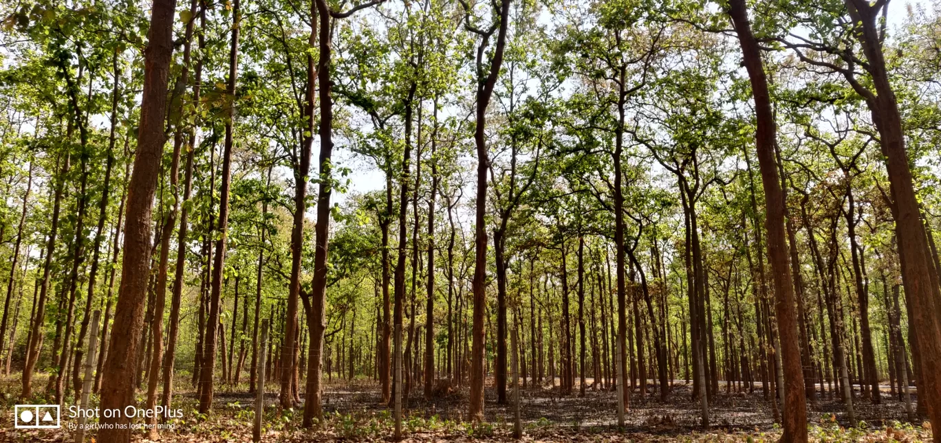 Photo of Jhargram By Paramita Sarker