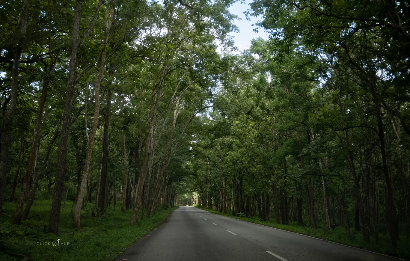 Photo of Edakkal Caves By ClickATale