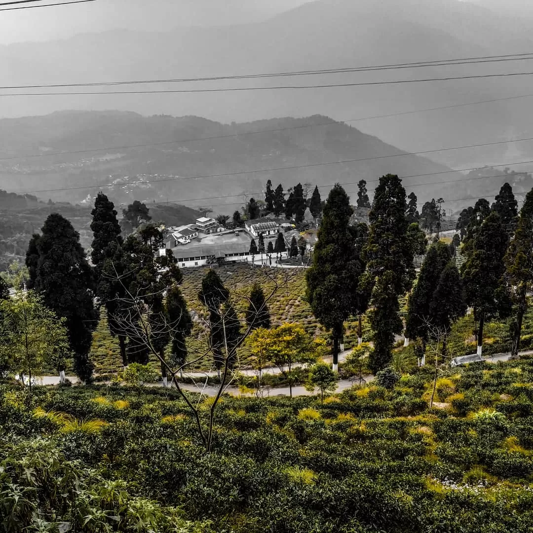 Photo of Kurseong By rash_sayah