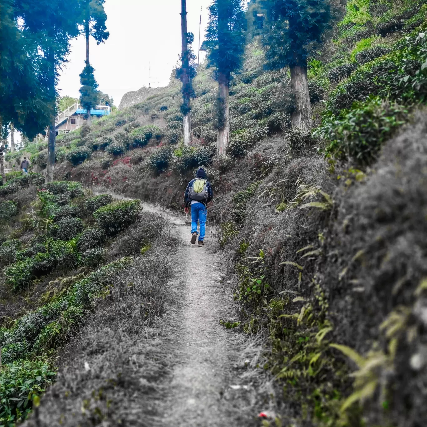 Photo of Kurseong By rash_sayah